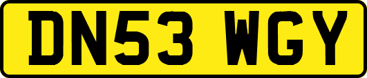 DN53WGY