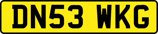 DN53WKG