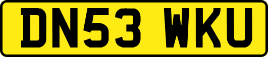 DN53WKU