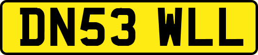 DN53WLL