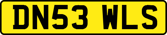 DN53WLS
