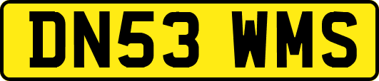 DN53WMS