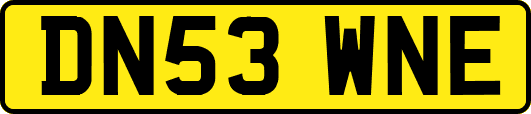 DN53WNE