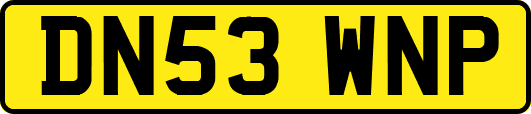 DN53WNP
