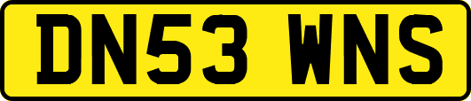DN53WNS