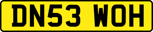 DN53WOH