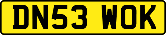 DN53WOK