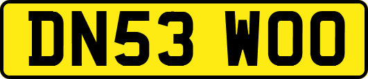DN53WOO