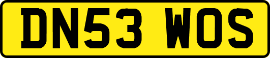 DN53WOS