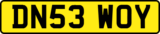 DN53WOY