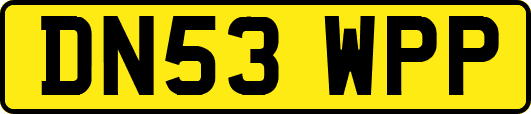 DN53WPP