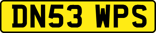 DN53WPS