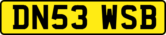 DN53WSB
