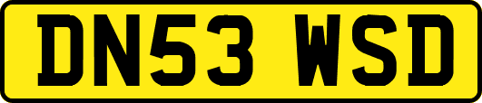 DN53WSD