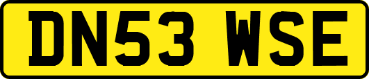 DN53WSE