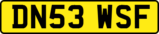 DN53WSF