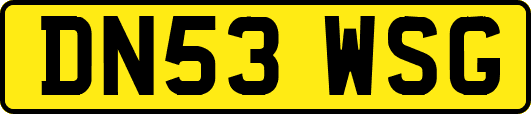 DN53WSG