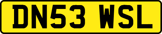 DN53WSL