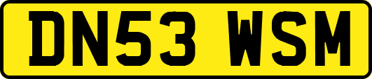 DN53WSM