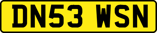 DN53WSN