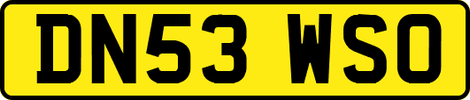 DN53WSO
