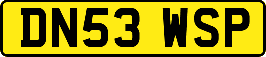 DN53WSP