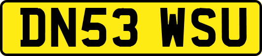 DN53WSU