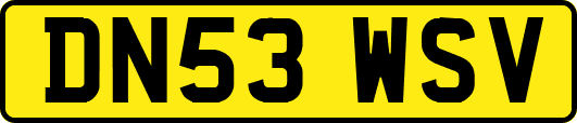 DN53WSV