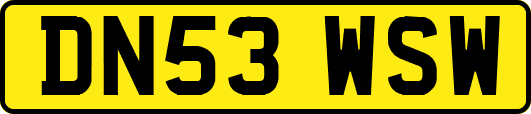 DN53WSW