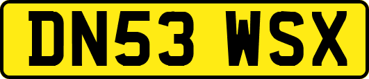 DN53WSX