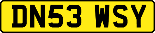DN53WSY