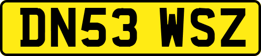 DN53WSZ