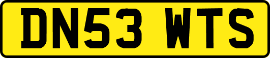 DN53WTS