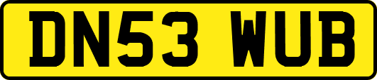 DN53WUB