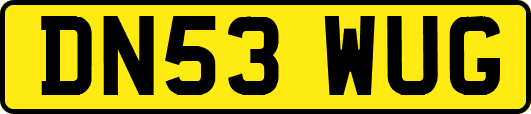 DN53WUG