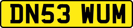 DN53WUM