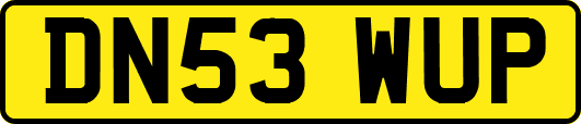 DN53WUP