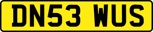 DN53WUS
