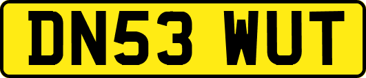 DN53WUT