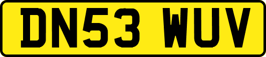 DN53WUV