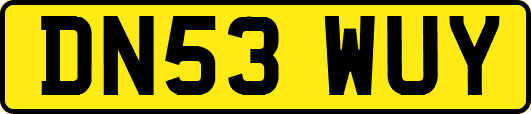 DN53WUY