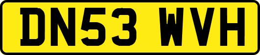 DN53WVH