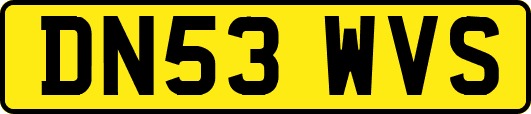 DN53WVS