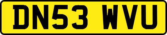 DN53WVU