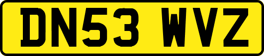 DN53WVZ