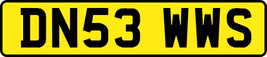 DN53WWS
