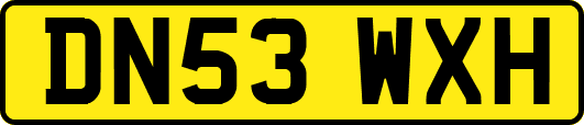 DN53WXH