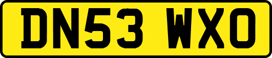 DN53WXO