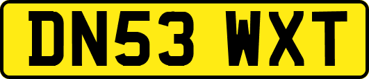 DN53WXT