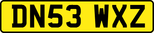 DN53WXZ